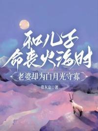 鉴宝大师TXT奇书网